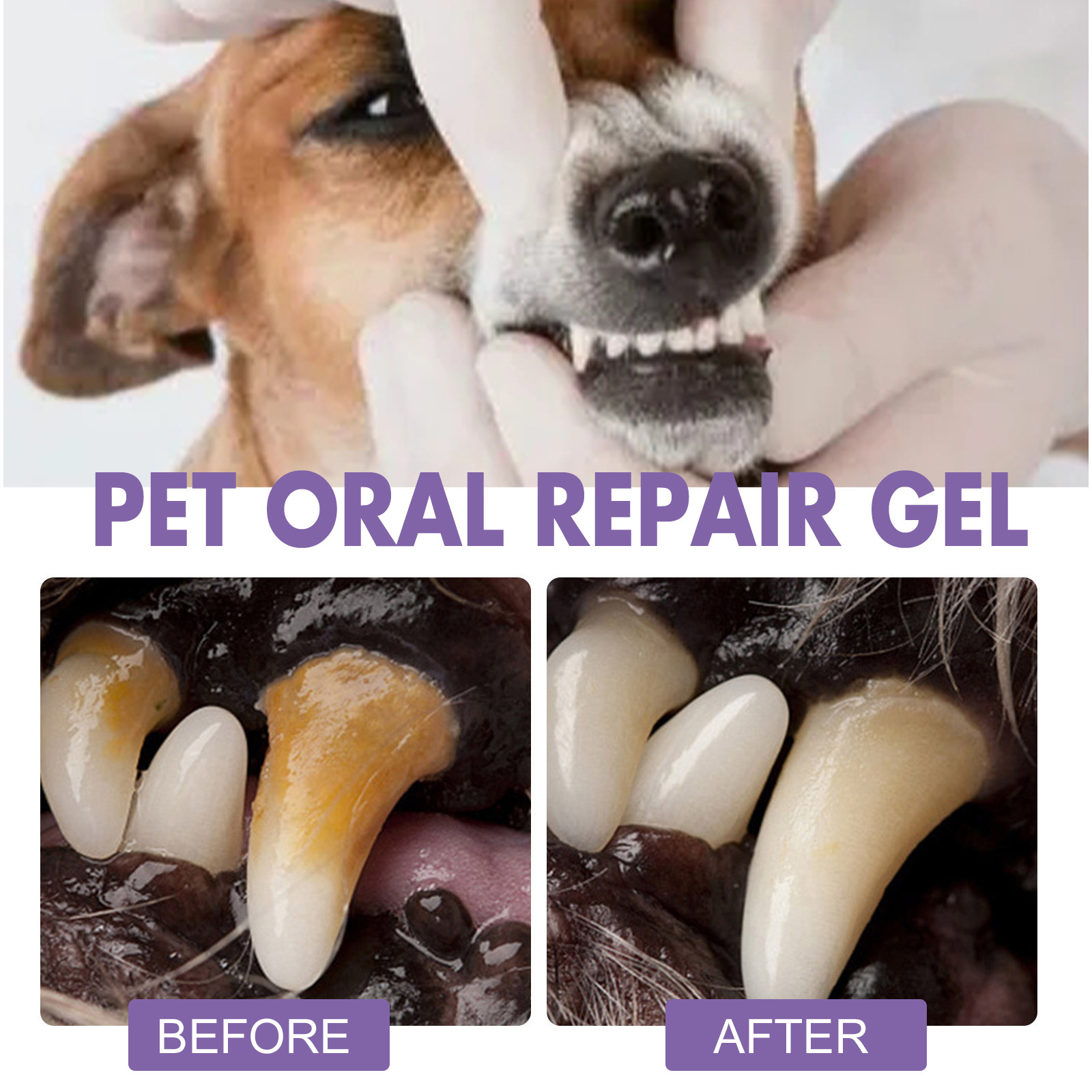 Pet Oral Repair Gel Puppy Tart - огляд і ціна Teeth Whitening Gel