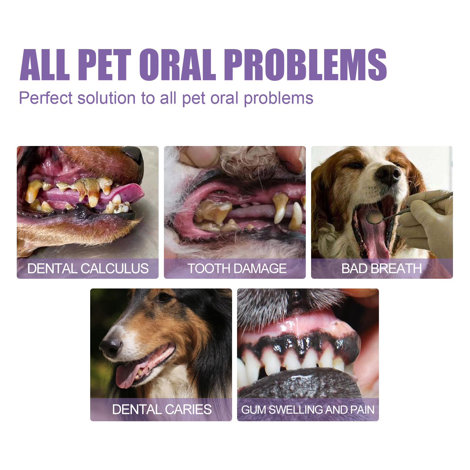 Pet Oral Repair Gel Puppy Tart - огляд і ціна Teeth Whitening Gel