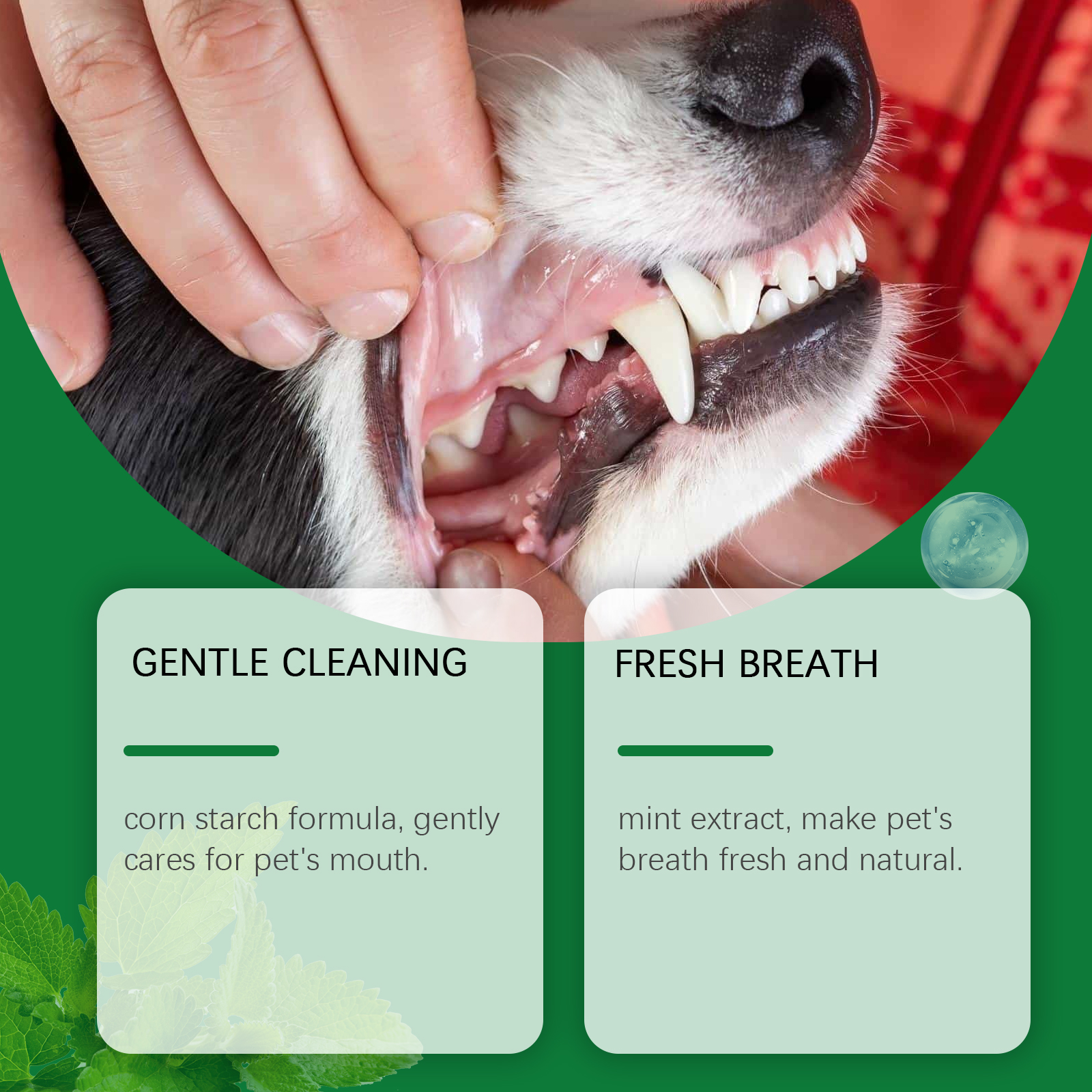 Pet Teeth Cleaning Powder Redu - огляд і ціна Teeth Whitening Remedies