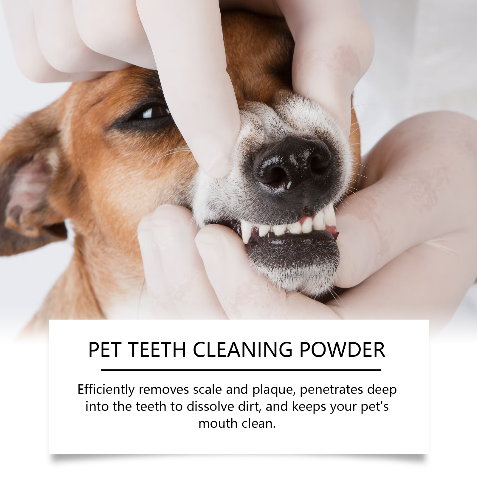 Pet Teeth Cleaning Powder Redu - огляд і ціна Teeth Whitening Remedies