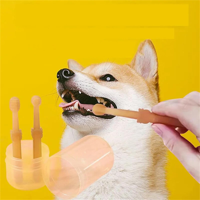 Teeth Whitening Dog Cat Silico - огляд і ціна Teeth Whitening Session