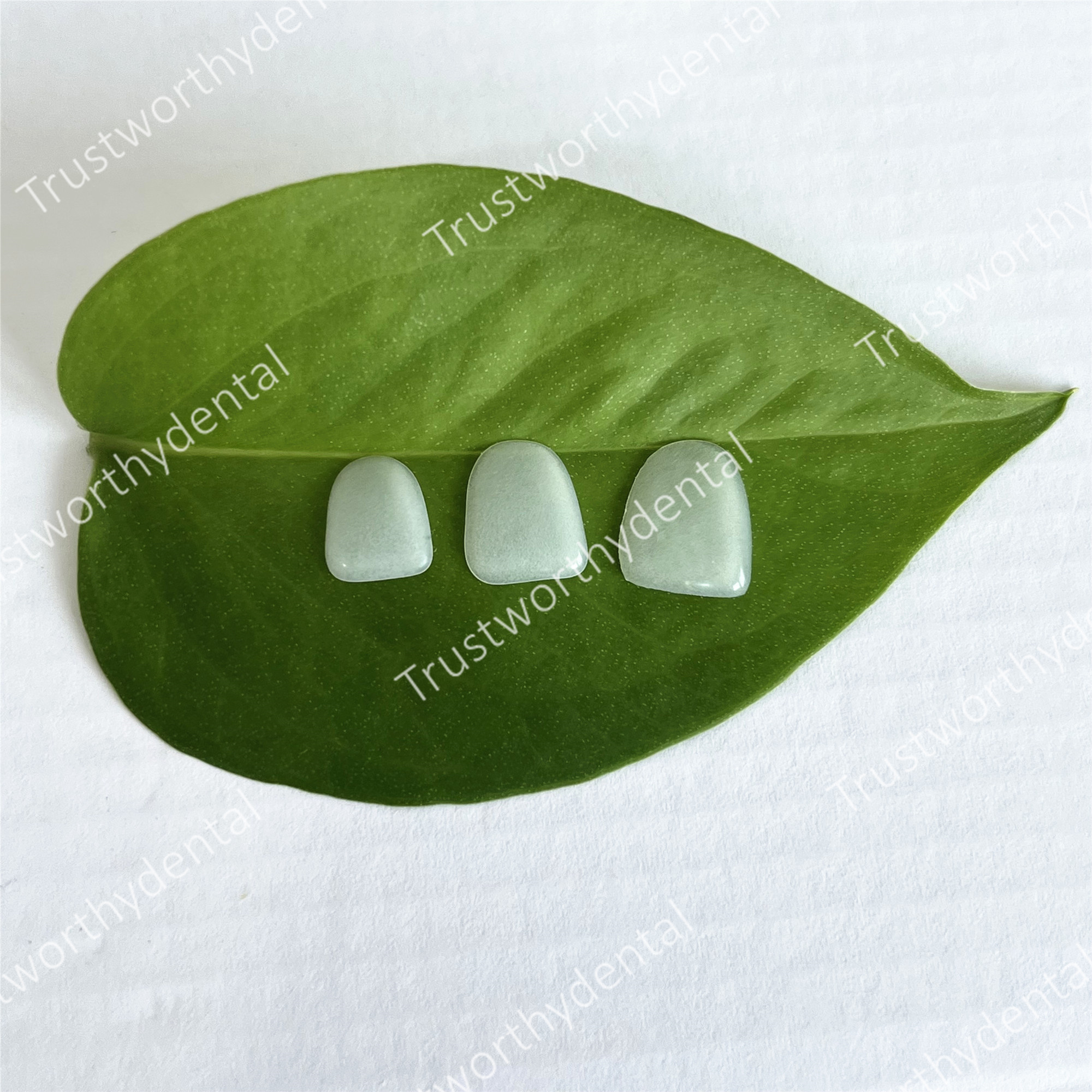 Dental Composite Porcelain Ven - огляд і ціна Teeth Paint Whitening