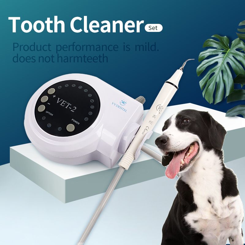 Pet Dental Ultrasonic Scaler D - огляд і ціна Teeth Whitening Session